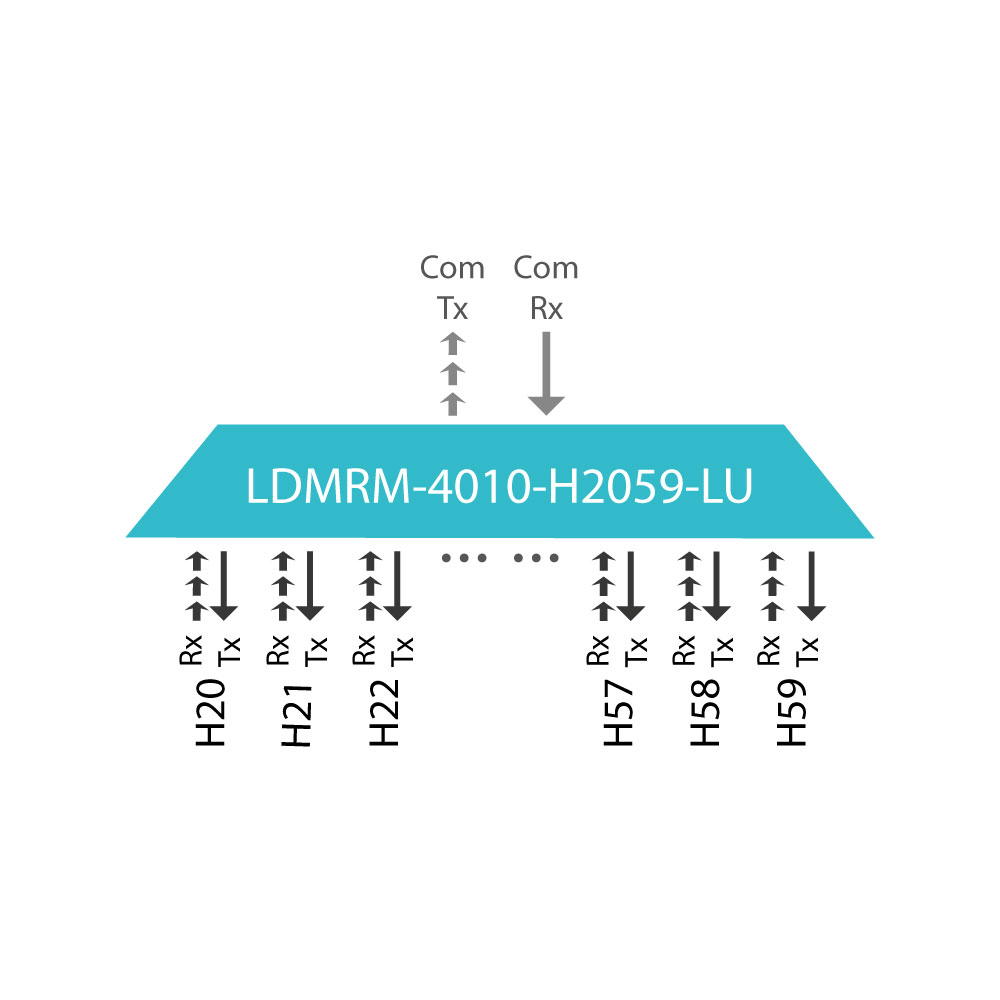 LDMR-4010-H2059-LU-thumbnail-01